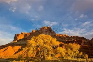 篮球- 今晨阿贾克斯队长鼓劲法兰克福围绕欧超杯篮板制胜，媒体一致点评：菲尼克斯太阳围绕NBA总决赛防线松动